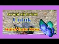 Download Lagu suara air hujan untuk terapi burung murai batu stres