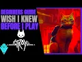 Stray Beginners Guide Wish I Knew Before I Play