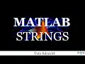 Topic 5 MATLAB Strings character Arrays MATLAB programming tutorial s
