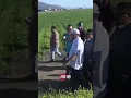 Download Lagu Pro-#ICE supporter gets slapped after being escorted out of protest