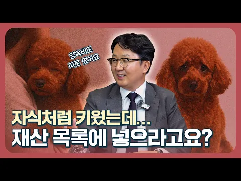 "이혼하면 강아지는 누구에게? 생각보다 충격적인 판결!"