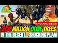 Download Lagu Breaking News: Ibrahim Traoré’s Shocking Plan – 200 Million Olive Trees in the Sahel Desert!