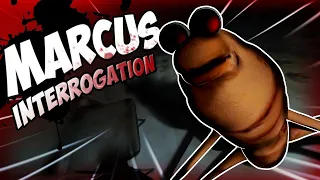 marcus kidnapped and interrogated me new content 