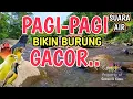 PAGI-PAGI GACOR‼️ 1 Jam Suara Air Sungai Bikin Burung Rajin Bunyi