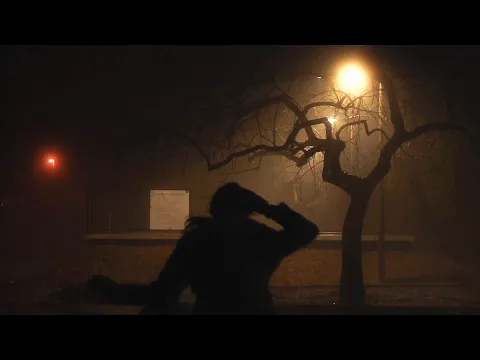 Yo habría hecho todo por ella  | 31°