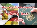 Download Lagu Why Thousands of Zimbabweans Are  Moving Back Home?