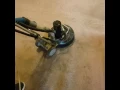Steam Cleaning Webster tx 77598 832 385-8996