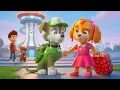 Download Lagu No way..SKYE Move Aways... Rocky Is HEARTBROKEN !? | Paw Patrol Ultimate Rescue | Rainbow 3