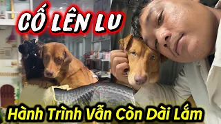Cố Lên Lu Ơi Hành Trình Của Con Vẫn Còn Dài Lắm