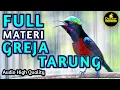 Download Lagu AWAS NYAUT ! KONIN GACOR FULL ISIAN TEMBAKAN GEREJA TARUNG COCOK BUAT KOLIBRI BAHAN AGAR CEPAT BUNYI
