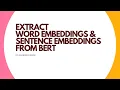 Extract Word Embedding Sentence Embeddings from Text data using BERT