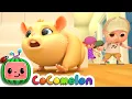 Download Lagu Lost Hamster | CoComelon Nursery Rhymes \u0026 Kids Songs