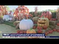 Fall fun in the city at Jack s Pumpkin Pop-Up