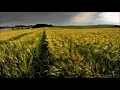 Kings Of Tomorrow Ft. Julie McKnight - Finally (No!end & B-Sensual Bootleg)