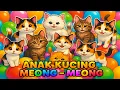 Download Lagu ANAK KUCING MEONG MEONG Kucing Lucu Bikin Ketawa Tiada Henti #kucinglucu