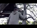 The Magical Treehouse San Francisco Airbnb 2017