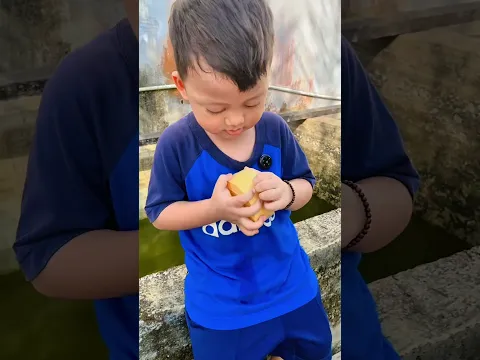 squishy dumpling !