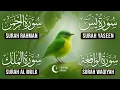 Very Nice Voice Surah Yaseen | Surah Rahman | Surah Waqiah | Surah Mulk l Reciter Ashraf Hussain