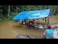 Download Lagu Kehidupan di kampung dayak, pondok kebanjiran setelah hujan deras semalam