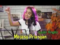 Download Lagu Mojang Priangan //Cover Ibew Kekey Bajidor Pongdut