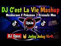 Download Lagu DJ C'EST LA VIE X POKEMON DIMANA KAMU ♫ LAGU TIK TOK TERBARU REMIX ORIGINAL 2022