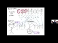 Using discrepancy theory to improve the design of randomized controlled trials - Daniel Spielman