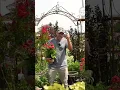 Welcome to Bountiful Gardens - New Jersey s Botanical GEM with Four Locations
