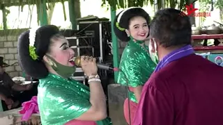 tayub tuban mari kangen jambu alas