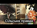 Download Lagu СЬОГОДЕННЯ УКРАЇНСЬКОГО СЕЛА🐄