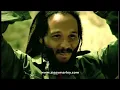 Ziggy Marley - "Love is My Religion" | Official Music Video