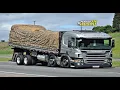 Download Lagu ESSA É A CORRIDA MALUCA DO VAI E VEM DA FRUTA