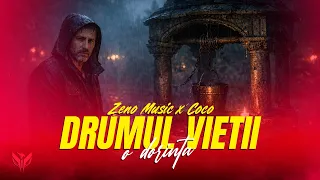 zeno music coco drumul vietii