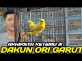 Lagu UPDATE HARGA PLECI DAKUN GARUT ORI DIKIOS PASAR BURUNG PRAMUKA HARI INI