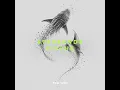 Sterbende Fische - VON WELT