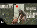 Download Lagu BOW HUNTING PUBLIC GROUND (and finding bucks!) | PINHOTI UNGULATE EDITIONS | NOVEMBER 2024