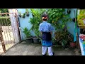 Download Lagu Tarian manik dadali