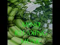 Spa Music and Relaxing Sounds - Light Music Guru