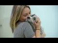 San Angelo Animal Shelter A Pawsitive Future Ahead