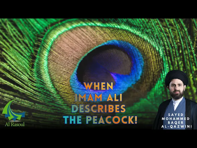 When Imam Ali (a.s.) Describes The Peacock! - Sayed Mohammed Baqer Al-Qazwini