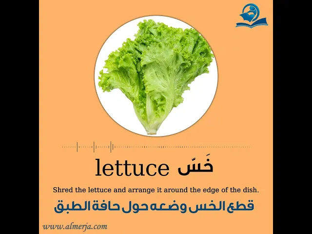 ⁣كيف تلفظ كلمة (خس) في اللغة الإنجليزية How to pronounce (lettuce)