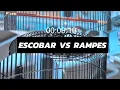 Download Lagu Spesial Escobar VS Rampes #kicaumania #lombaburung #andribolang #smm #smr