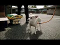 Seattle Animal Shelter outreach program