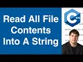 Read All File Contents Into A String C Example
