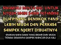 Lagu suamiku ingin aku bahagia #kisahnyata