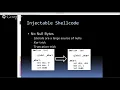 NSA Reverse Engineering Lectures Lecture 8