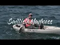 Sailfish Madness