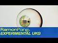 Download Lagu IDM DJ Mix // Experimental UK Garage (mixed by RamonPang)