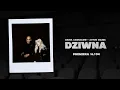 Lagu Daria Zawiałow, Artur Rojek - Dziwna (Teaser) | Klip już na kanale