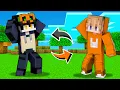 Download Lagu KITA BERTUKAR WARNA DI MINECRAFT!!