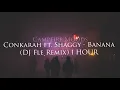 Download Lagu Conkarah \u0026 Shaggy - Banana (DJ Fle Remix) 1 HOUR
